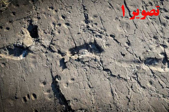 اثر رد پای انسان حدود 3.5 میلیون سال پیش در تانزانیا